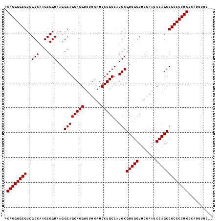dotplot