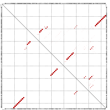 dotplot