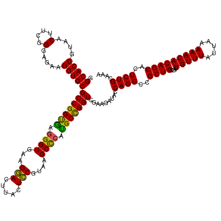 secondary structure