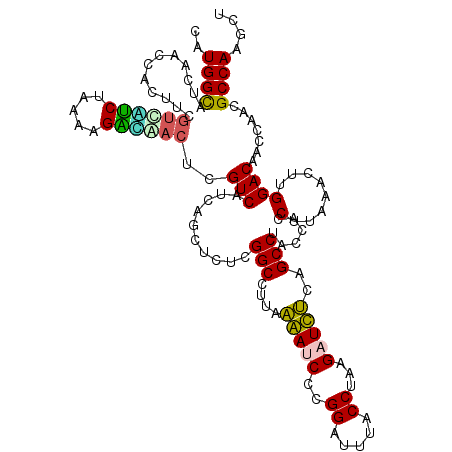 secondary structure