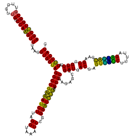 secondary structure