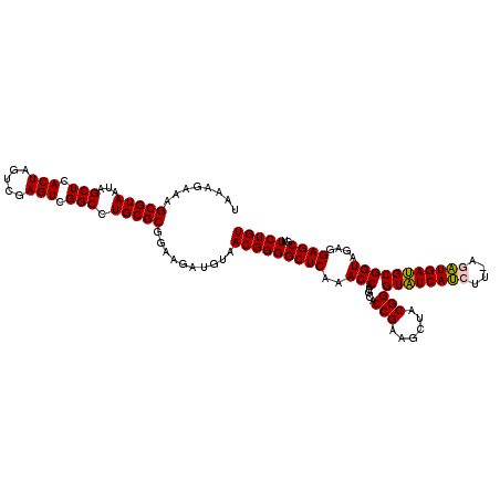 secondary structure