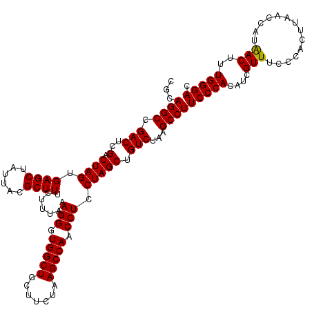secondary structure