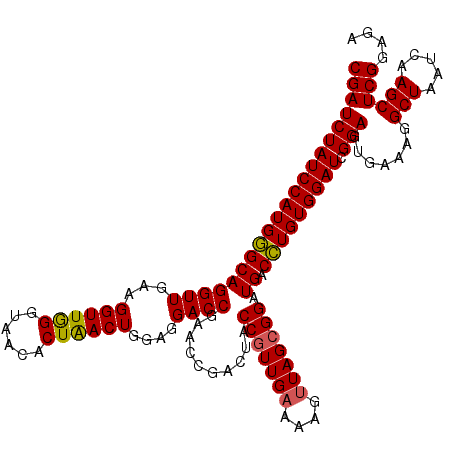 secondary structure