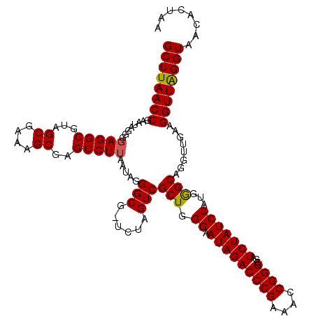 secondary structure