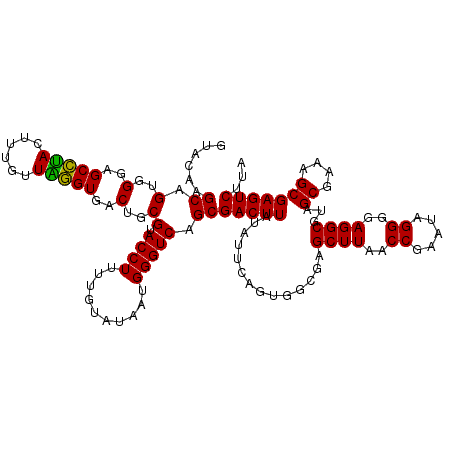 secondary structure