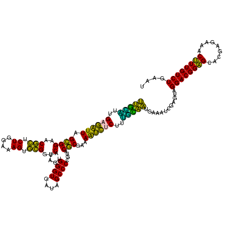 secondary structure