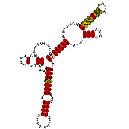 secondary structure