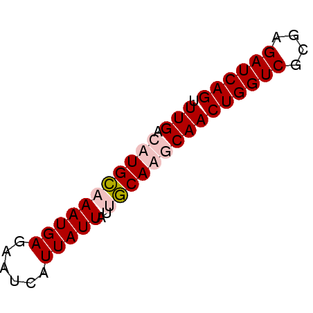 secondary structure