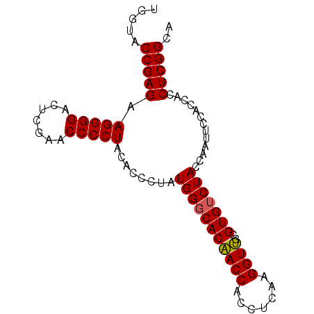 secondary structure