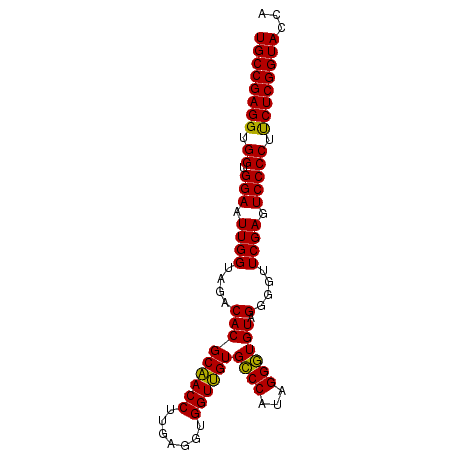 secondary structure