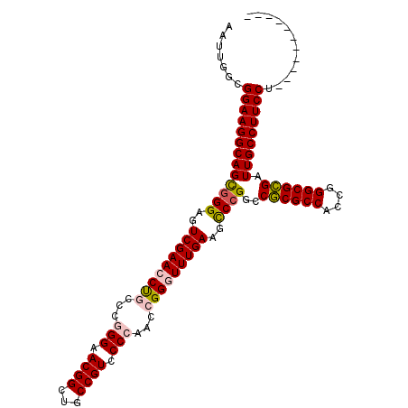 secondary structure
