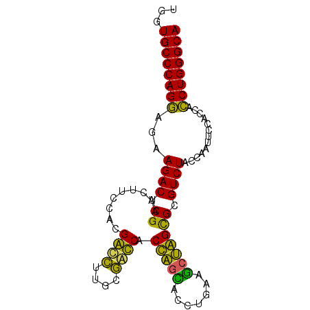 secondary structure