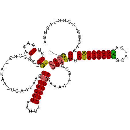 secondary structure