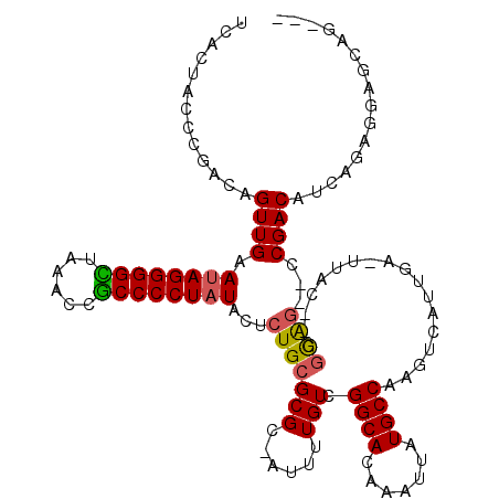 secondary structure