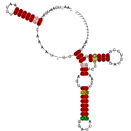 secondary structure
