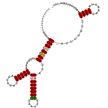secondary structure