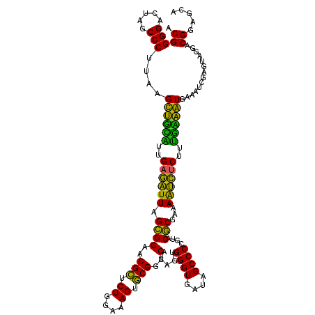 secondary structure