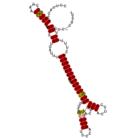 secondary structure