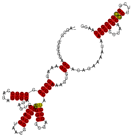 secondary structure