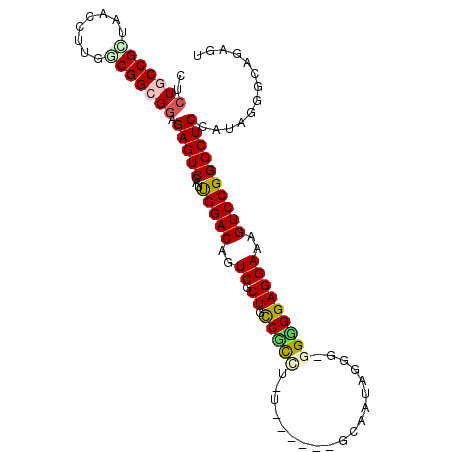 secondary structure