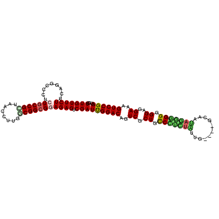 secondary structure