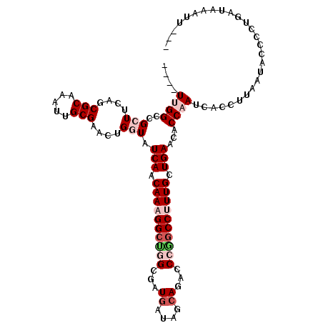 secondary structure