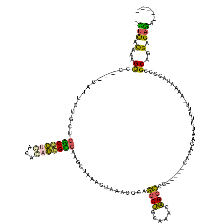 secondary structure