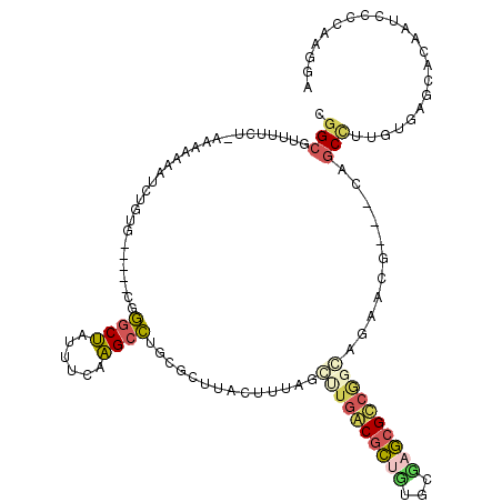 secondary structure