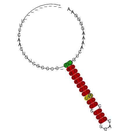 secondary structure