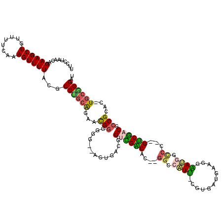 secondary structure