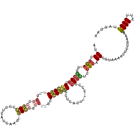 secondary structure