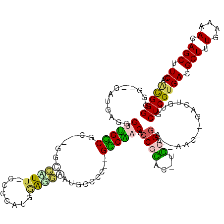 secondary structure