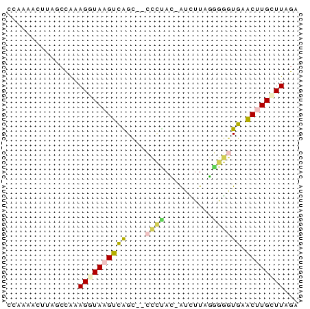 dotplot