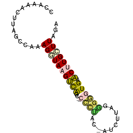 secondary structure
