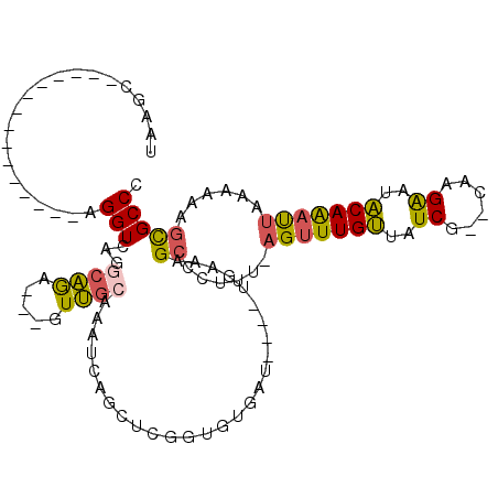 secondary structure