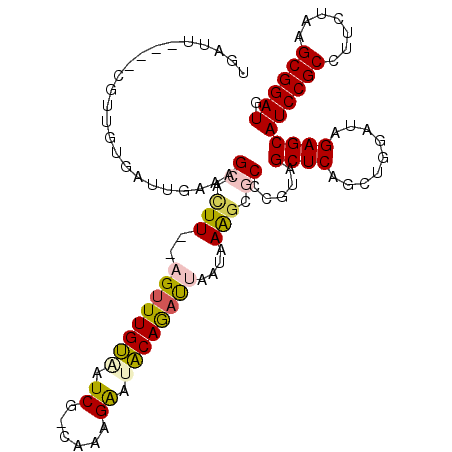 secondary structure