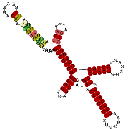 secondary structure