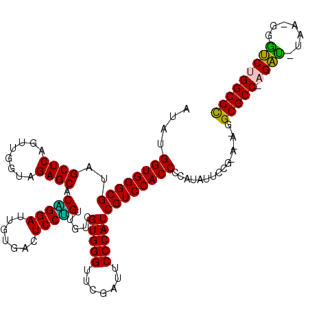 secondary structure