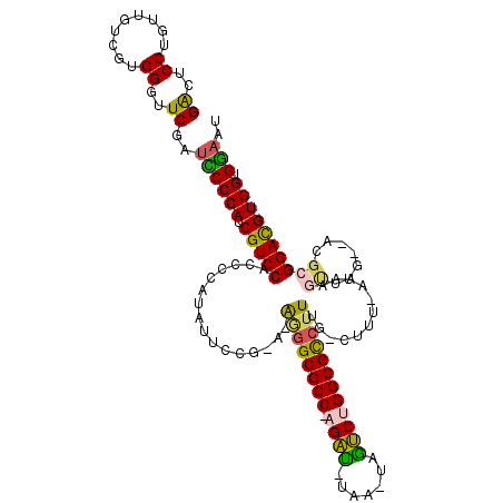 secondary structure