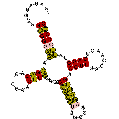 secondary structure