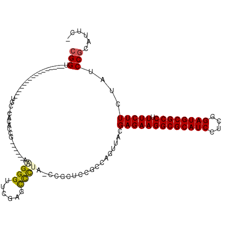 secondary structure