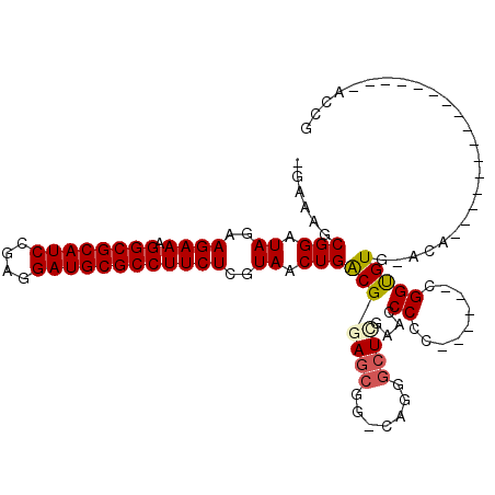 secondary structure