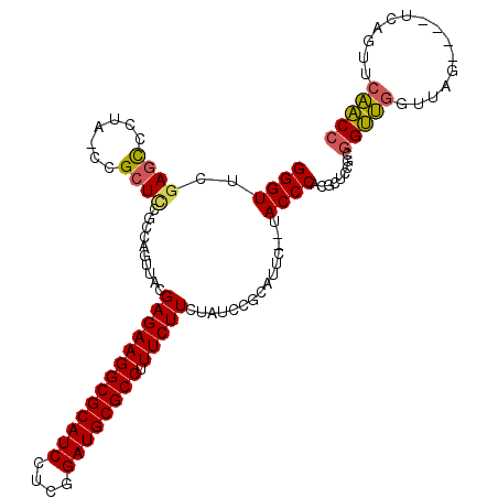secondary structure