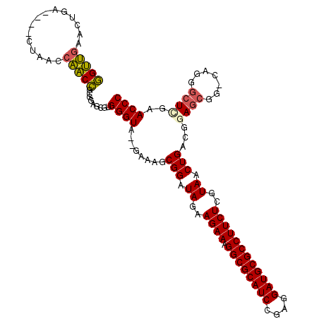 secondary structure