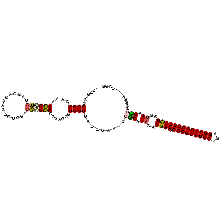 secondary structure