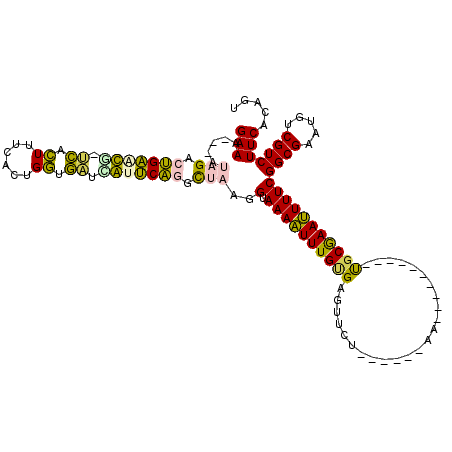 secondary structure