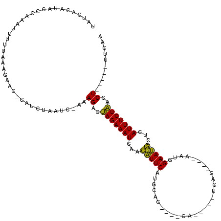 secondary structure