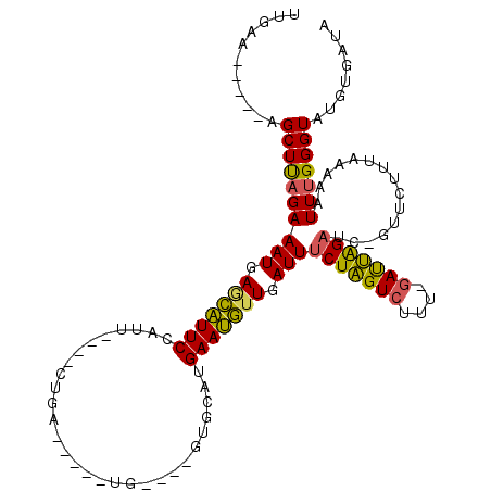 secondary structure