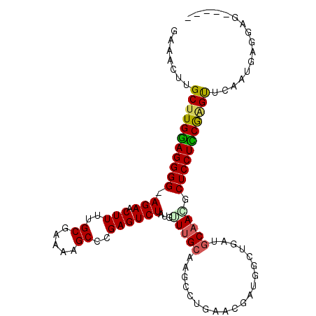 secondary structure